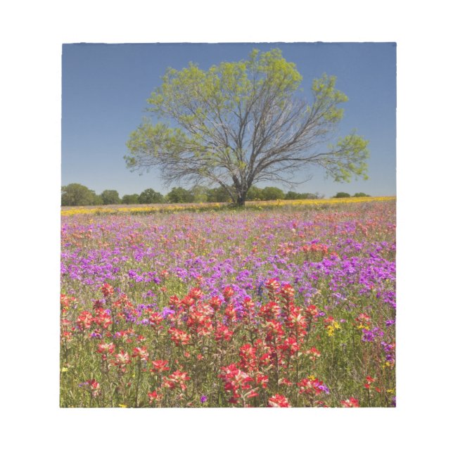 Bloc-note Arbres de mesquite printaniers poussant dans des f (Devant)