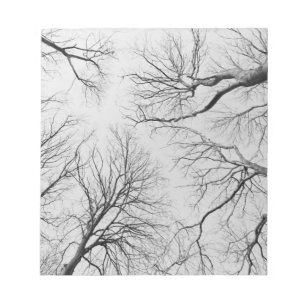 Bloc-note Arbres sans feuilles dans le bois de Thiepval