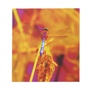 Bloc-note Arc-en-ciel libellule sur ambre et fuschie