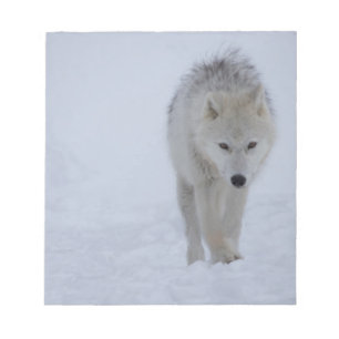 Bloc-note Arctic wolf