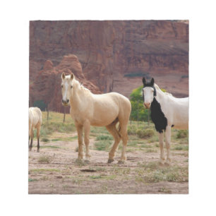 Bloc-note Arizona, Navajo réserve indienne, Chinle,