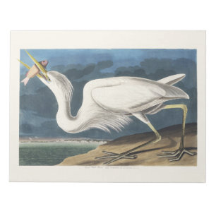 Bloc-note Art Vintage Audubon Grande Aigrette Américaine