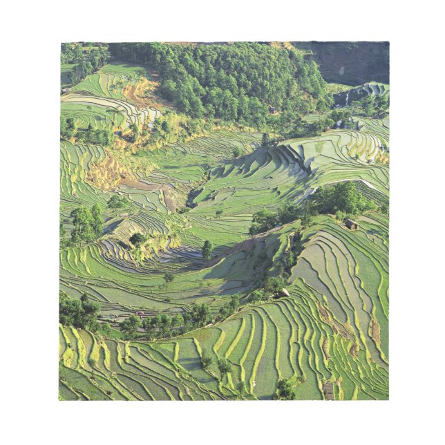 Bloc-note Asie, Chine, Yunnan, Yuanyang. Motif de vert (Devant)