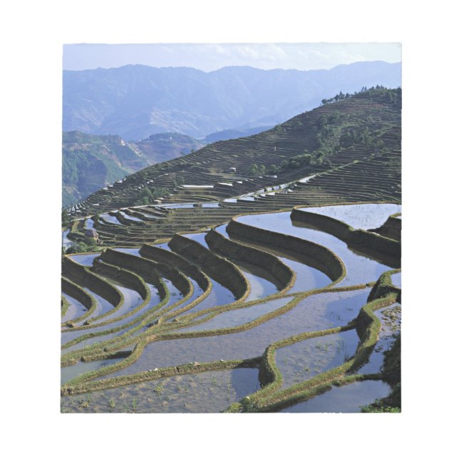 Bloc-note Asie, Chine, Yunnan, Yuanyang. Robuste (Devant)