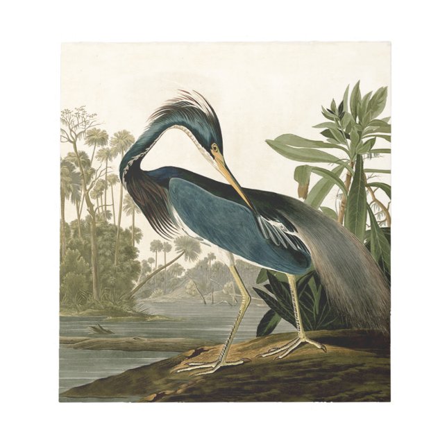 Bloc-note Audubon Héron de Louisiane Oiseaux Amérique Art (Devant)