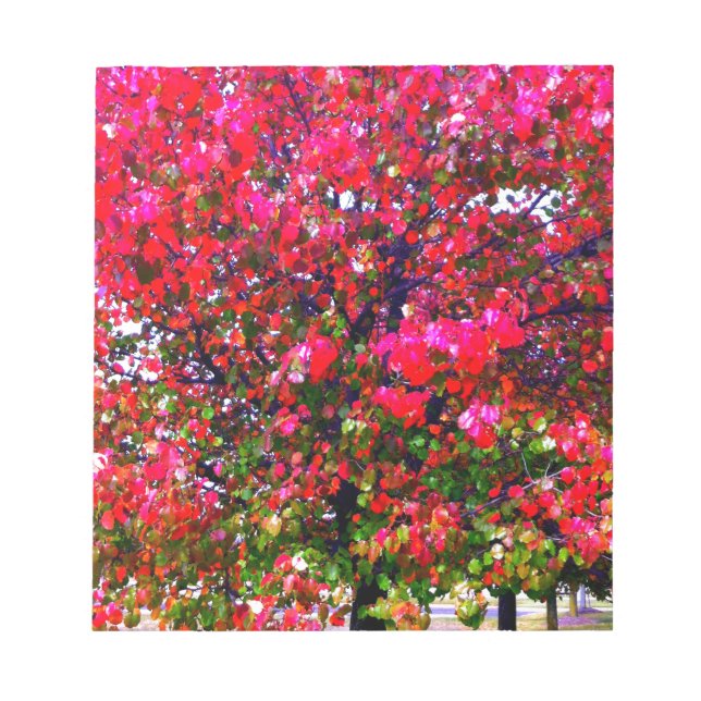 Bloc-note Automne Changement de Feuille, arbres impressionni (Devant)