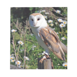 Bloc-note Barn Owl