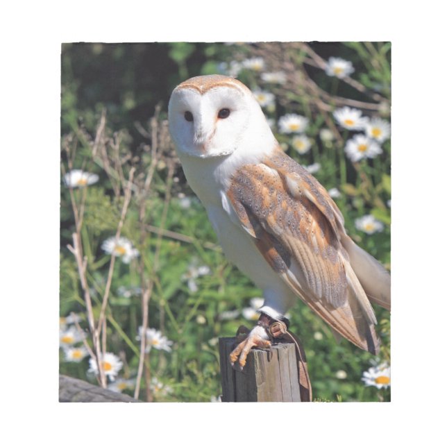 Bloc-note Barn Owl (Devant)
