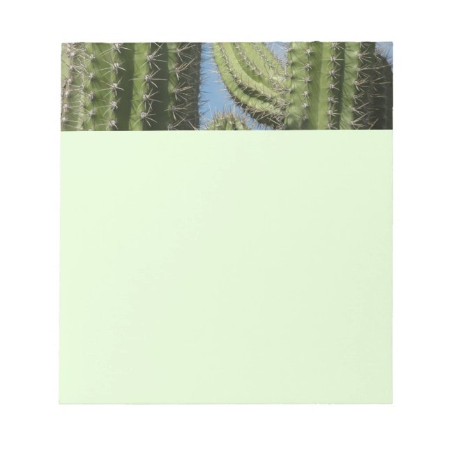 Bloc-note Barrel Cactus I Desert Photo (Devant)