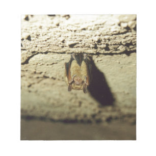 Bloc-note Bat