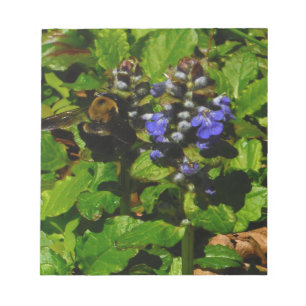 Bloc-note Baume d'abeille pourpre et bourdon