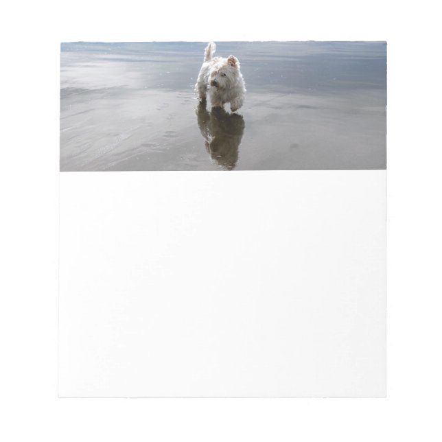 Bloc-note Beach Westie Réflexion Photo Papier photo (Devant)
