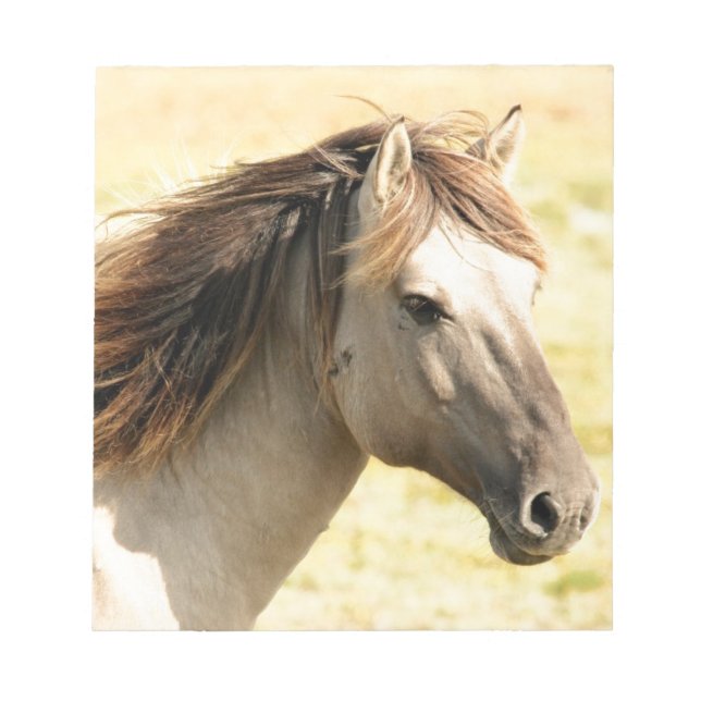 Bloc-note Beau cheval gris sauvage (Devant)