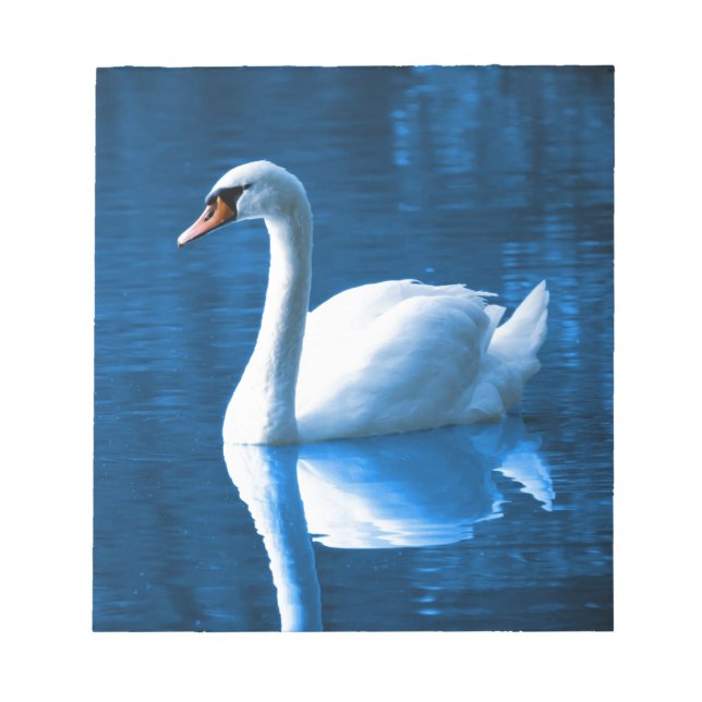 Bloc-note Beau cygne blanc dans l'eau (Devant)