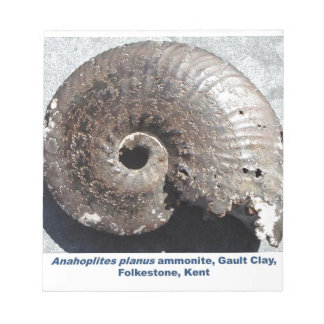 Bloc-note Beau fossile de pyrite ammonite montrant sutures