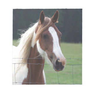 Bloc-note Beau Paint Pinto Horse à la clôture