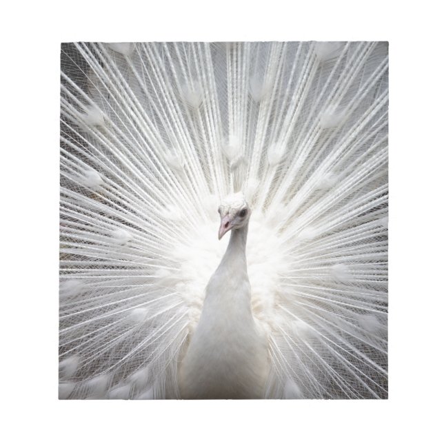 Bloc-note Beau paon blanc (Devant)