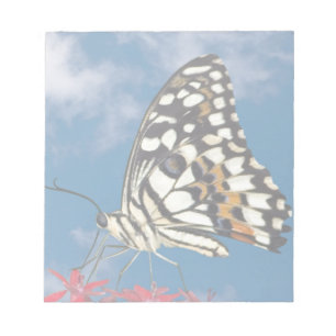 Bloc-note Beau Papillon