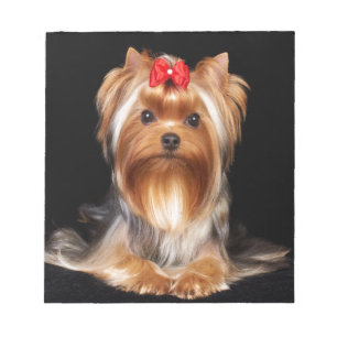 Bloc-note Beau Yorkshire Terrier
