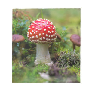 Bloc-note Beauté d'automne