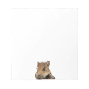 Bloc-note Bébé Warthog