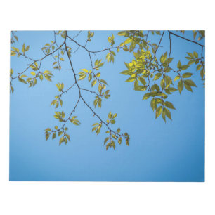 Bloc-note belle branche avec serrure feuille verte et jaune