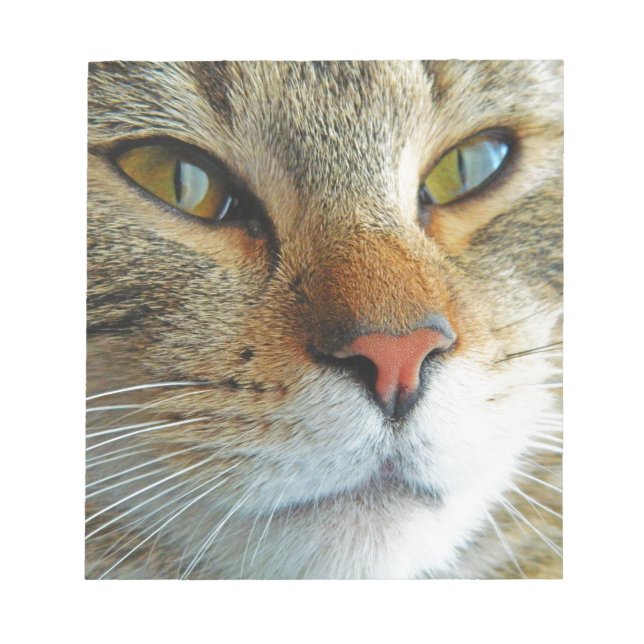 Bloc-note Belle Chat (Devant)