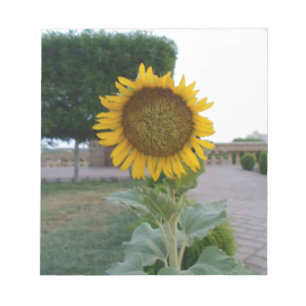 Bloc-note Belle Tournesol Superbe