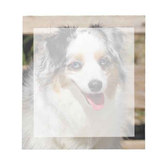 Bloc-note Bennett - Aussie Mini - Rosie - Carmel Beach (Devant)