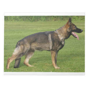 Bloc-note Berger Allemand Sable Complet