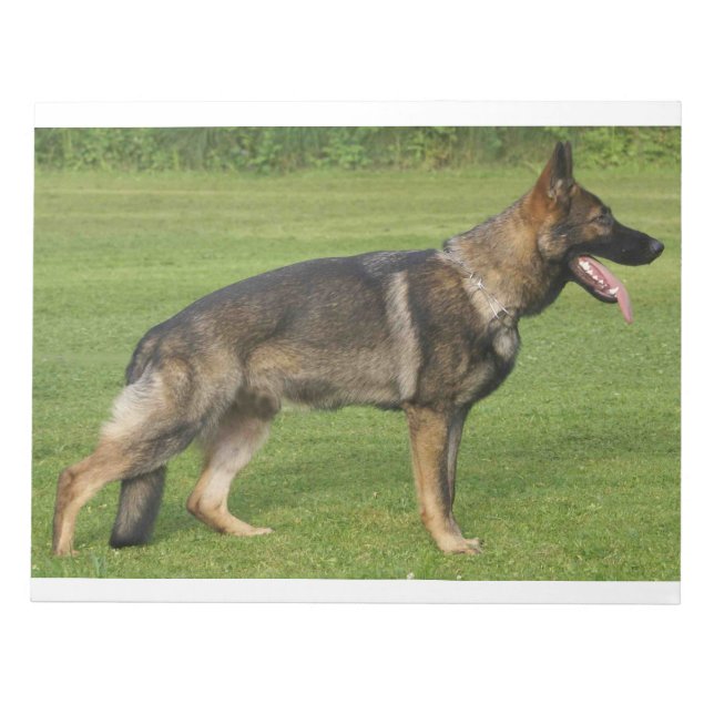 Bloc-note Berger Allemand Sable Complet  (Devant)