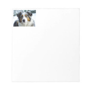 Bloc-note Berger américain miniature bleu merle