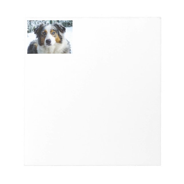 Bloc-note Berger américain miniature bleu merle (Devant)