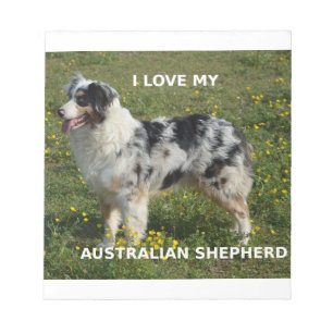 Bloc-note berger australien bleu merle amour w pic