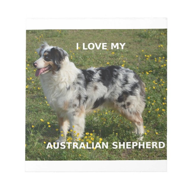 Bloc-note berger australien bleu merle amour w pic (Devant)