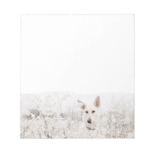 Bloc-note Berger blanc allemand dans la neige