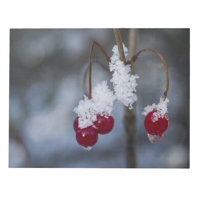 Bloc-note Berries congelées (Devant)