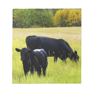 Bloc-note Bétail noirs d'Angus frôlant dans le domaine
