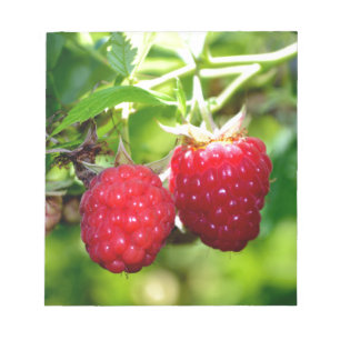 Bloc-note Beurre mûre photo Framboises framboises