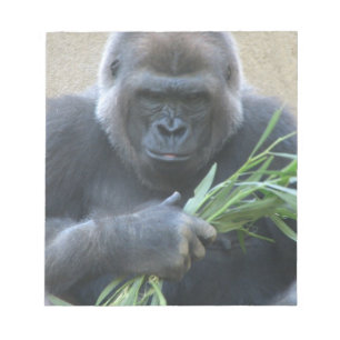 Bloc-note Bloc - notes de gorille de Silverback