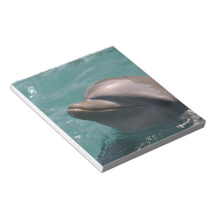 Bloc-note Bloc - notes mignon de dauphin