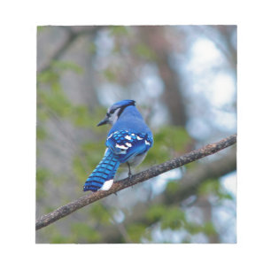 Bloc-note Blue Jay