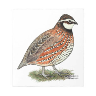 Bloc-note Bobwhite Quail