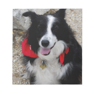 Bloc-note Bordure Collie