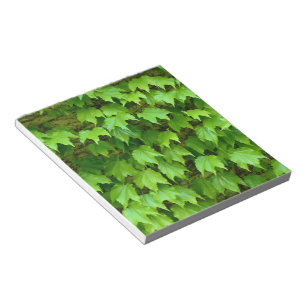 Bloc-note Boston Ivy