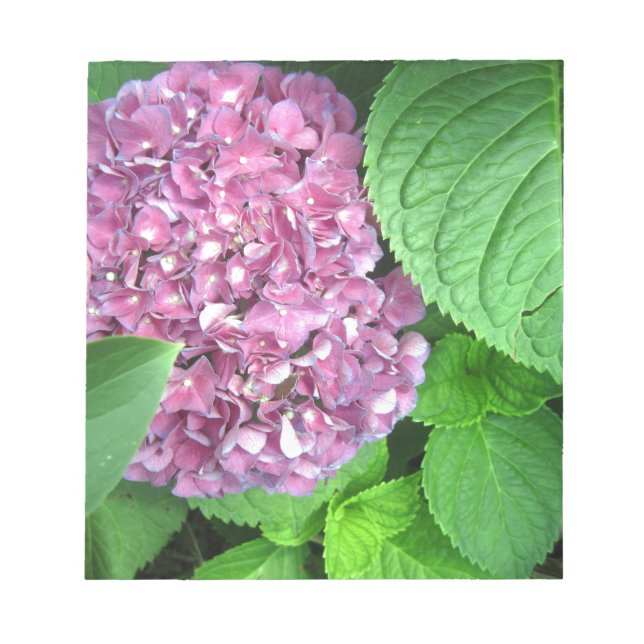 Bloc-note Boule de neige (Devant)