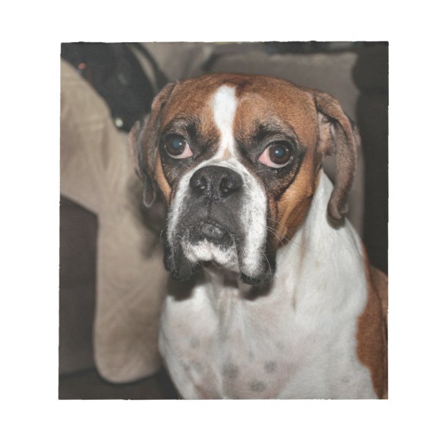 Bloc-note Boxer (Devant)