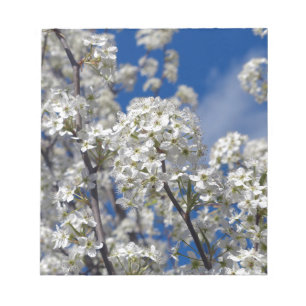 Bloc-note Bradford Pear Blooms