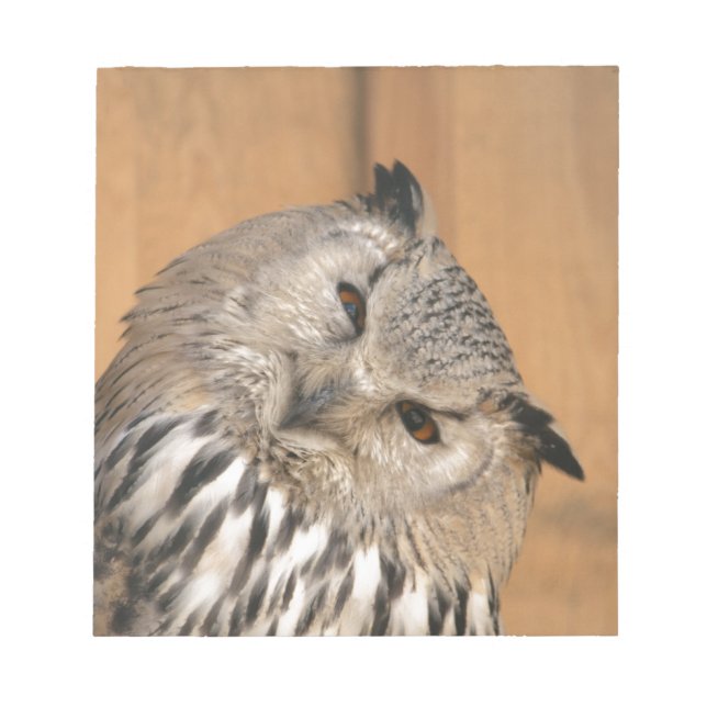 Bloc-note Bubo bubo sibiricus (Devant)