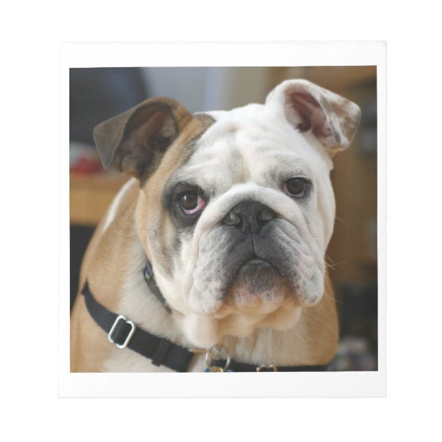 Bloc-note Bulldog.png (Devant)